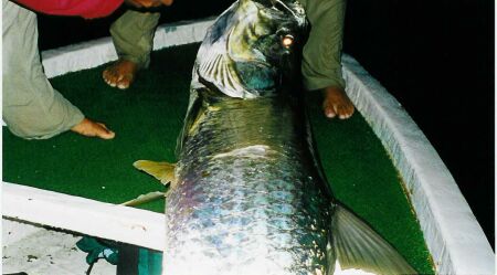 Holbox, Paraiso Terrenal