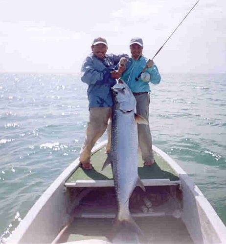 Sabalo en Holbox